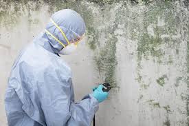 Best Mold Documentation for Insurance Claims in USA